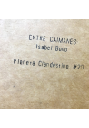 Entre caimanes
